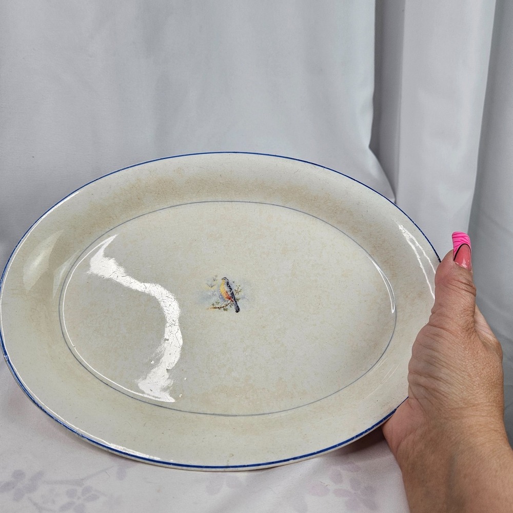 Cottagecore 1920's Crown Pottery. Co Songbird Series Oval Serving Platter Crazed